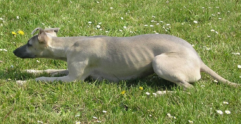 Publication : de la Vallée des Baronnies