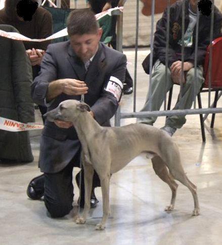 Publication : de la Vallée des Baronnies