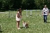 - Nationale d'élevage 2018 Numéro Un des Jardins de Becky