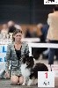 - French 1er au classement Vos Chiens