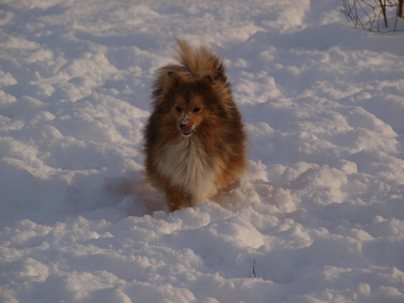 Publication : des Jardins de Becky