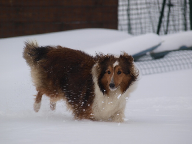 Publication : des Jardins de Becky Auteur : Ludovic