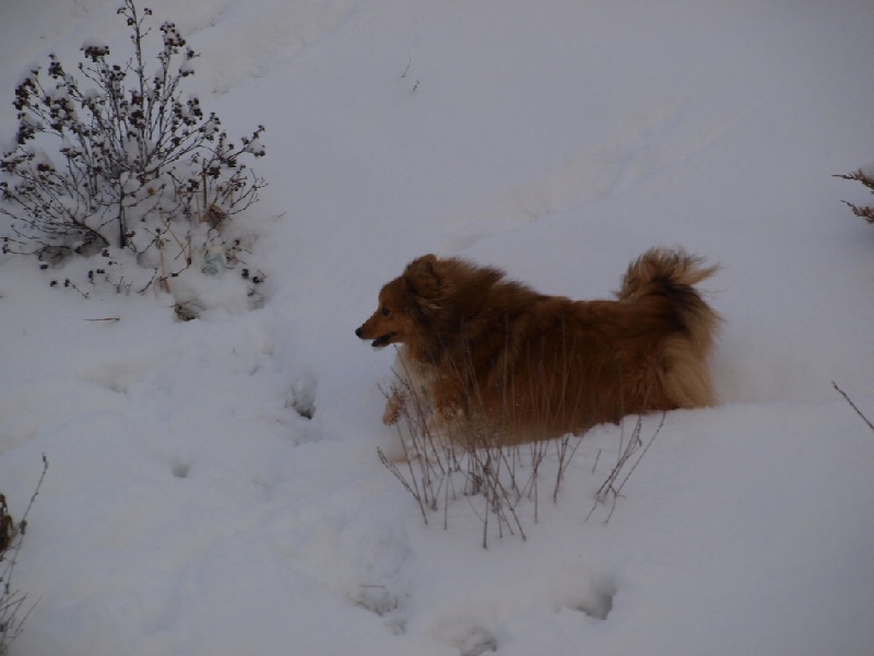 Publication : des Jardins de Becky