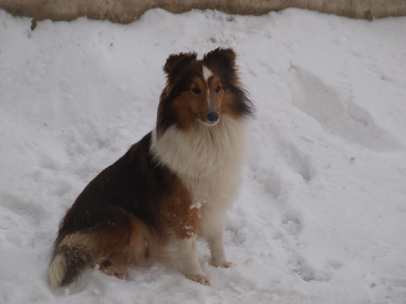 Publication : des Jardins de Becky Auteur : Ludovic