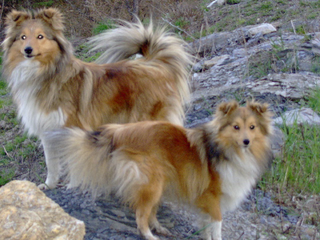 Publication : des Jardins de Becky