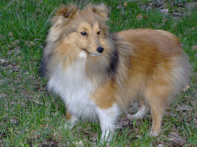 Publication : des Jardins de Becky