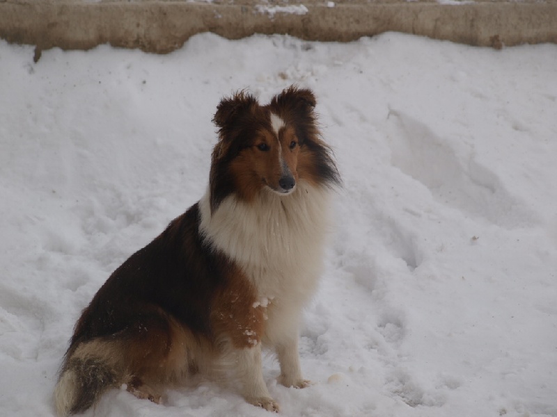 Publication : des Jardins de Becky Auteur : Ludovic