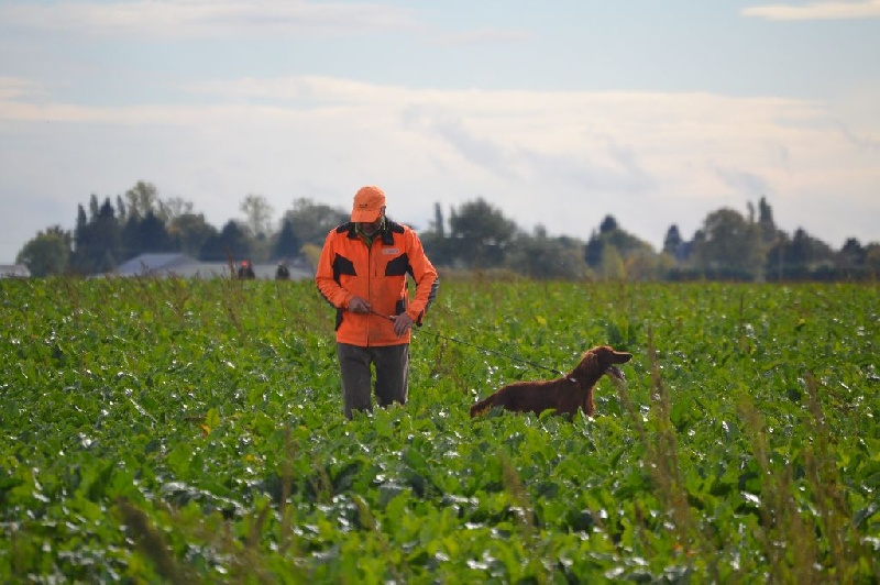 TR. CH. Isis de la flache du pont - 3eme Excellent
