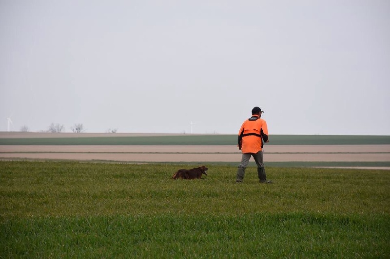 TR. CH. Isis de la flache du pont - CACT