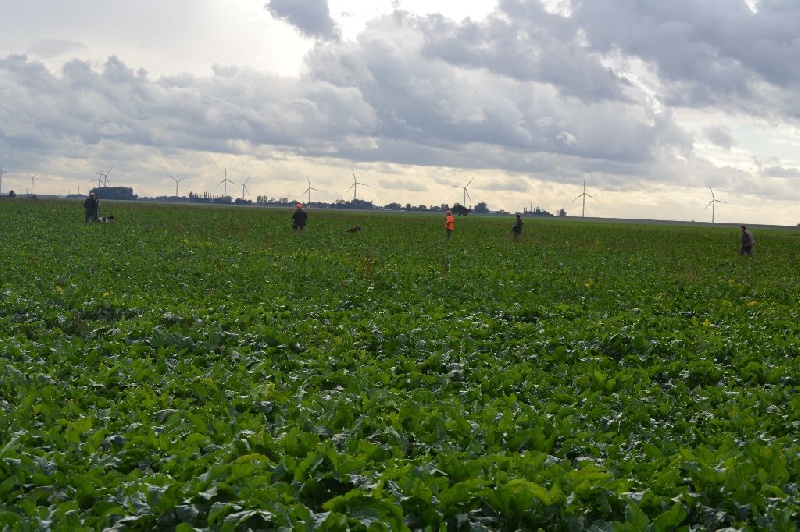 TR. CH. Isis de la flache du pont - TRES BON en COUPLE