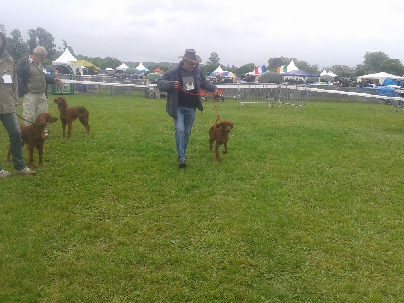 TR. CH. Isis de la flache du pont - Excellent en classe travail