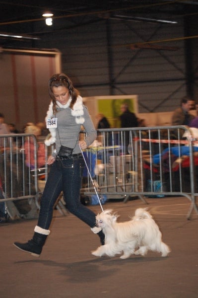 Irina Little Champs - 2 EXC Classe Jeune