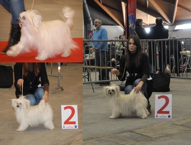 Irina Little Champs - 2 EXC