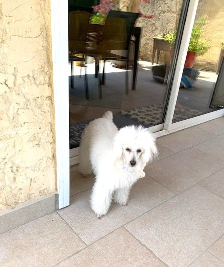 Raison d' être dite raquel du bois de Morchène