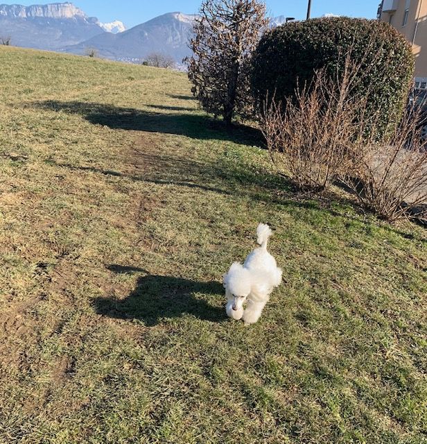 Raison d' être dite raquel du bois de Morchène