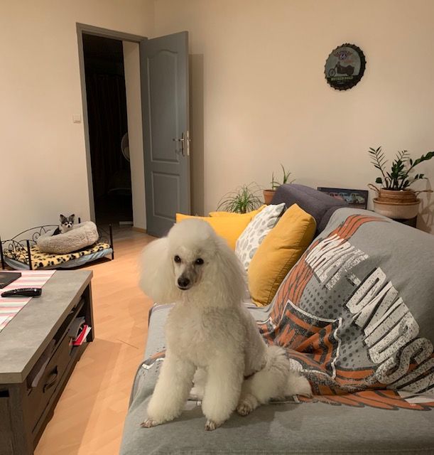 Raison d' être dite raquel du bois de Morchène