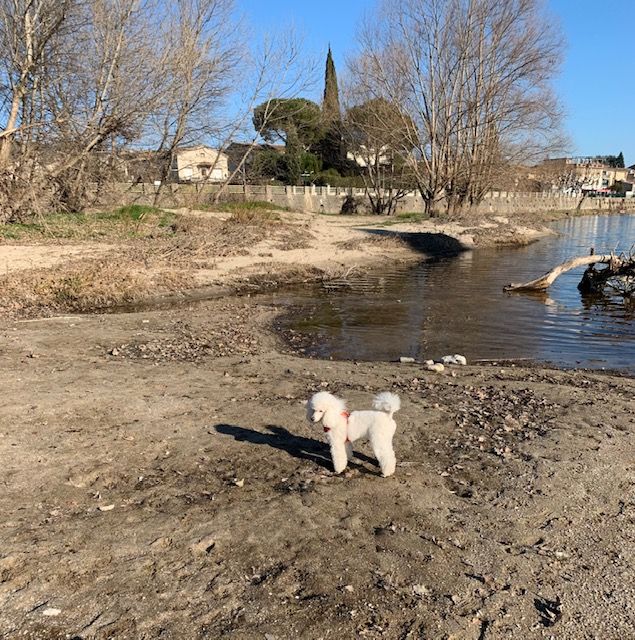 Raison d' être dite raquel du bois de Morchène