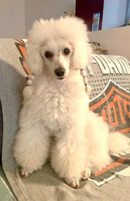 Raison d' être dite raquel du bois de Morchène