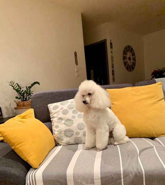 Raison d' être dite raquel du bois de Morchène