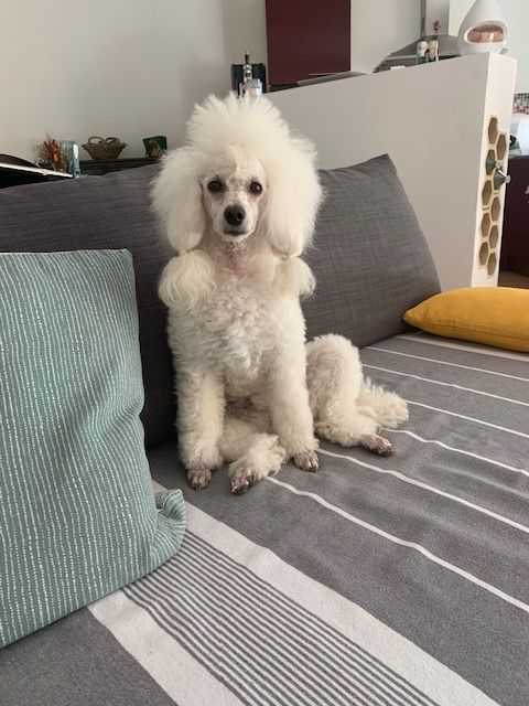 Raison d' être dite raquel du bois de Morchène