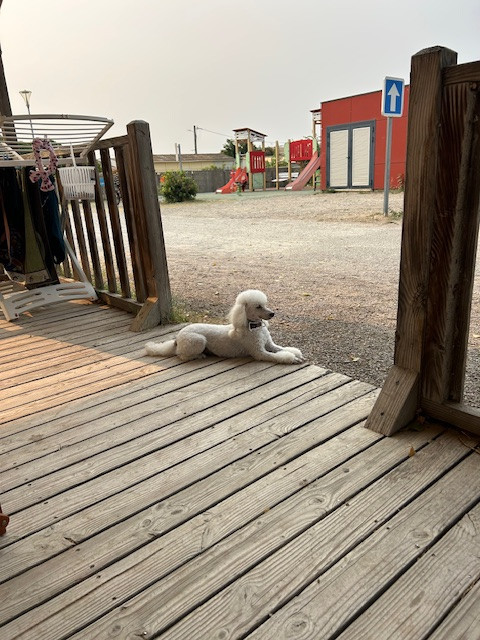 Raison d' être dite raquel du bois de Morchène
