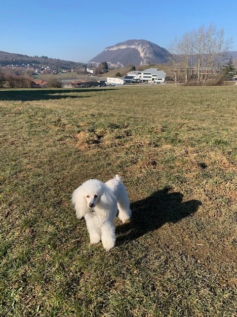 Raison d' être dite raquel du bois de Morchène