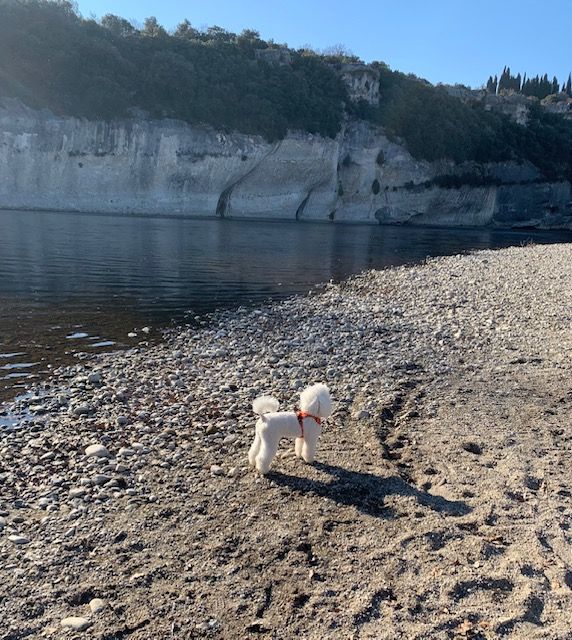 Raison d' être dite raquel du bois de Morchène