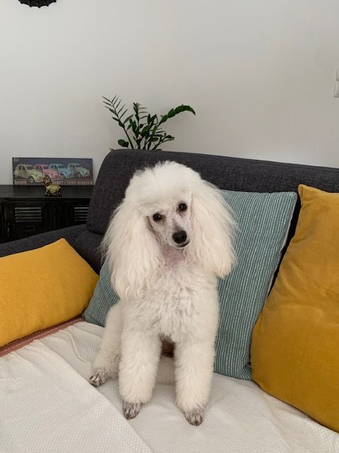 Raison d' être dite raquel du bois de Morchène