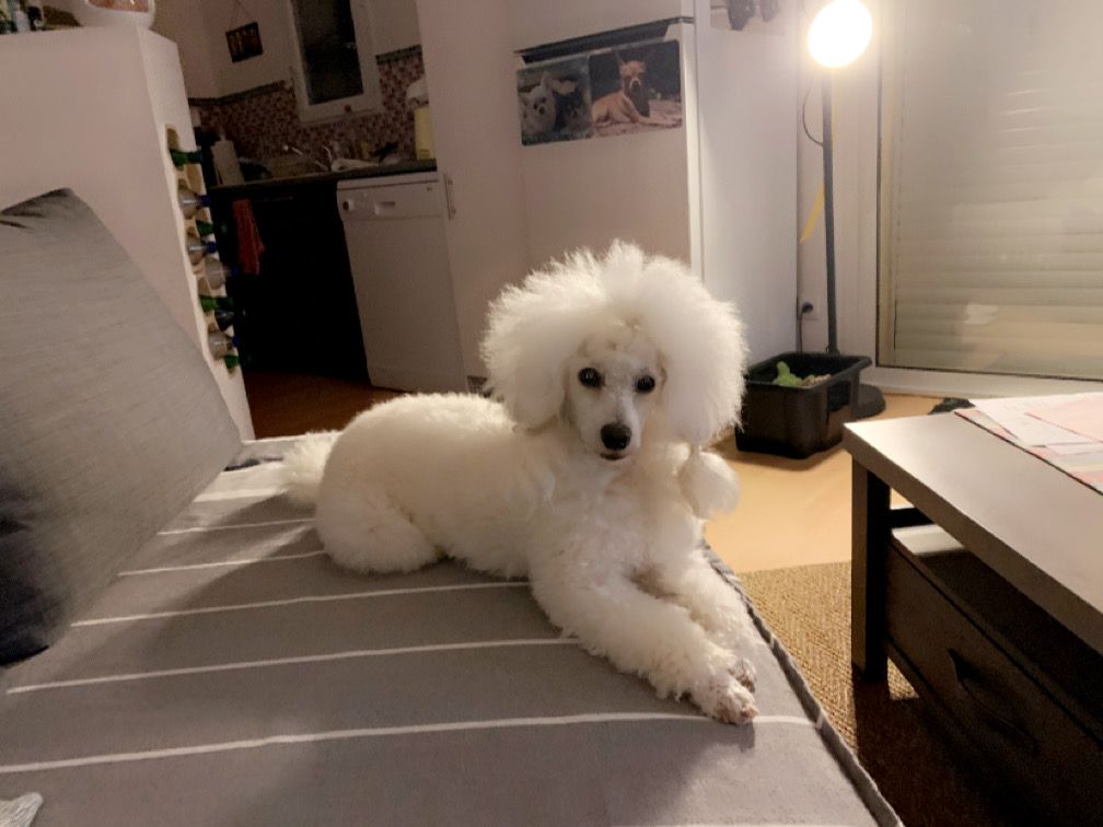 Raison d' être dite raquel du bois de Morchène