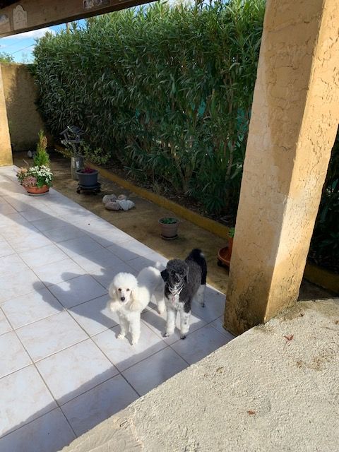 Raison d' être dite raquel du bois de Morchène