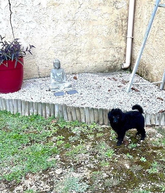 Amaia black du clos chanturgue