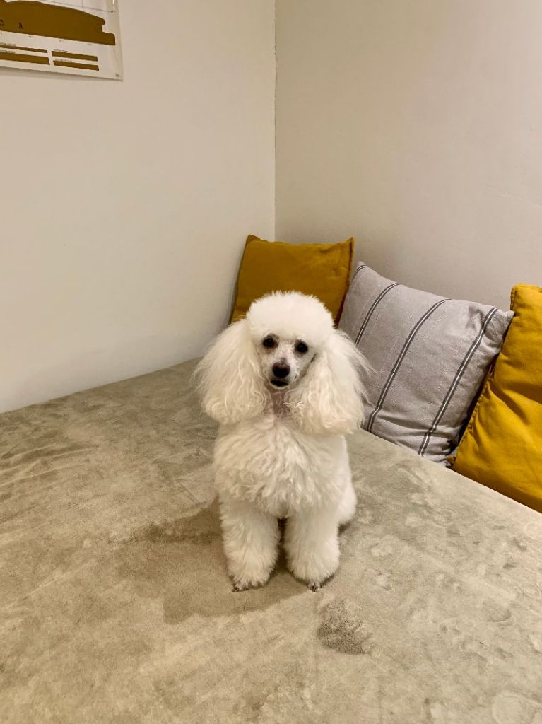 Raison d' être dite raquel du bois de Morchène