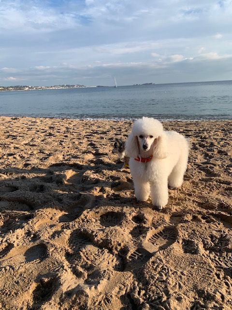 Raison d' être dite raquel du bois de Morchène