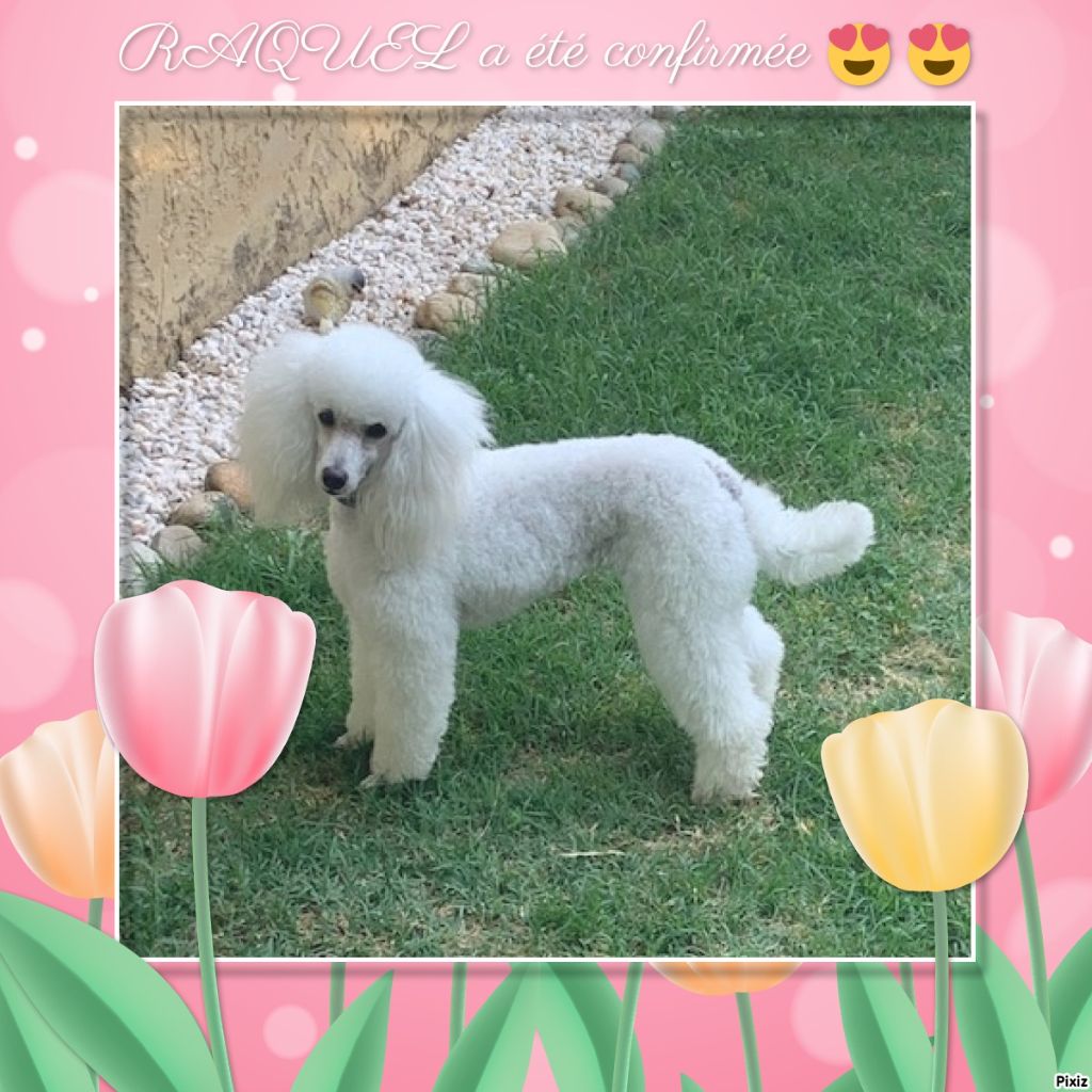 Raison d' être dite raquel du bois de Morchène