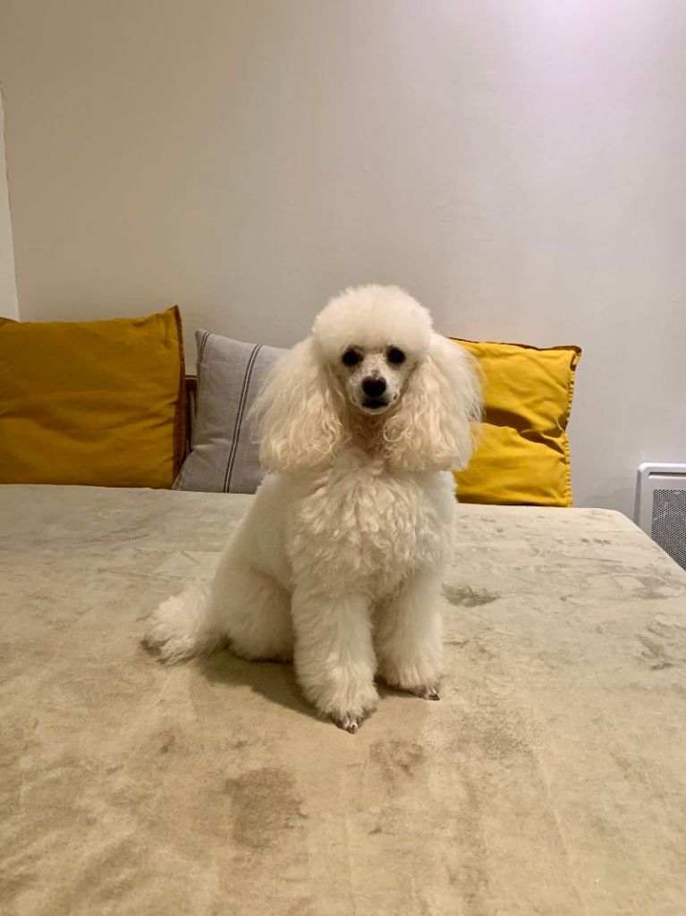 Raison d' être dite raquel du bois de Morchène