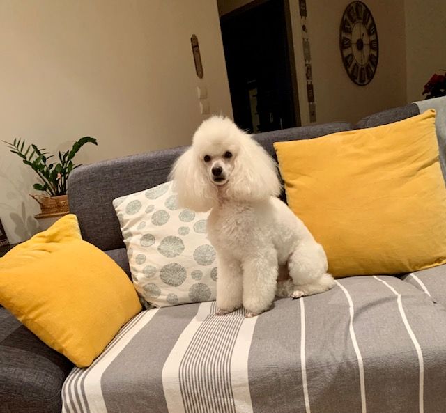 Raison d' être dite raquel du bois de Morchène