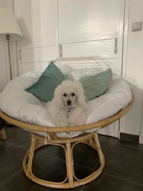 Raison d' être dite raquel du bois de Morchène