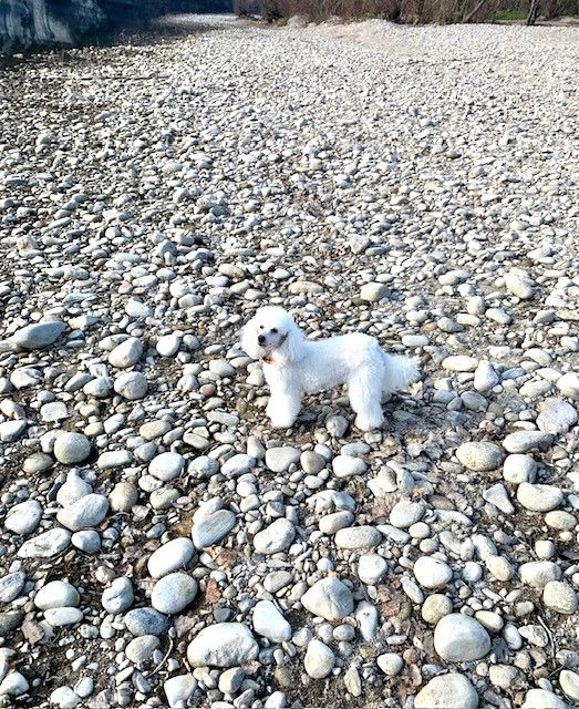 Raison d' être dite raquel du bois de Morchène