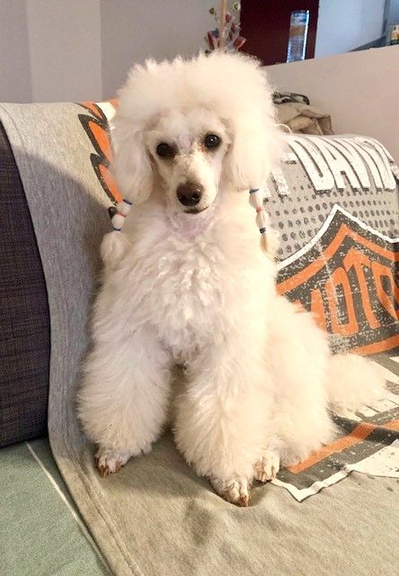 Raison d' être dite raquel du bois de Morchène