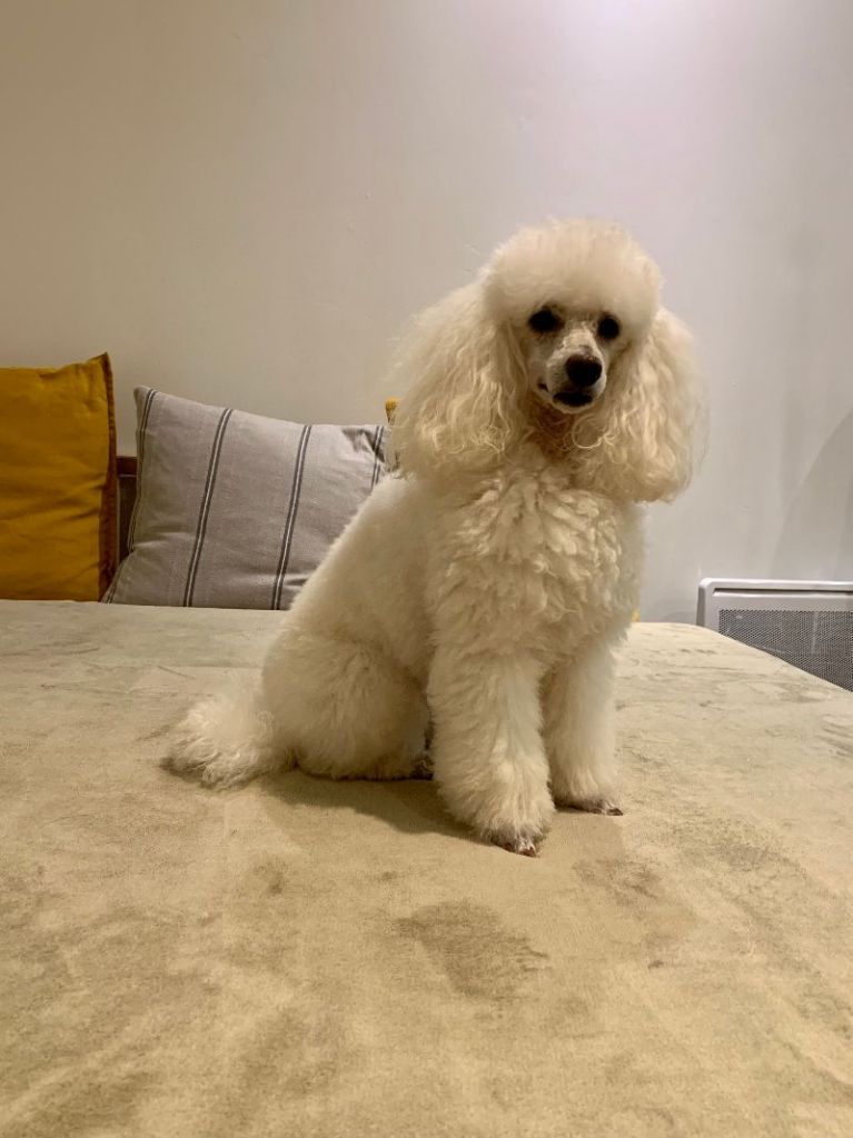 Raison d' être dite raquel du bois de Morchène