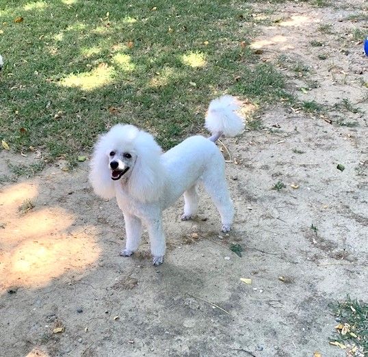 Raison d' être dite raquel du bois de Morchène