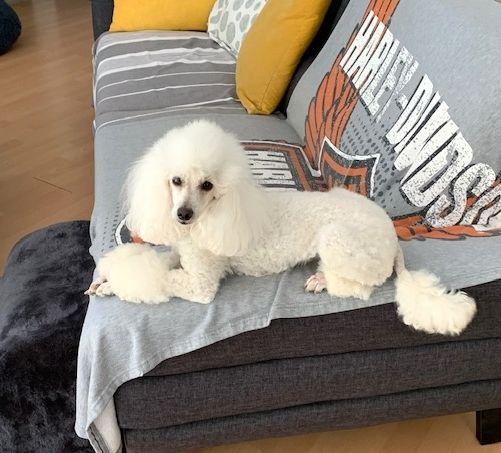 Raison d' être dite raquel du bois de Morchène