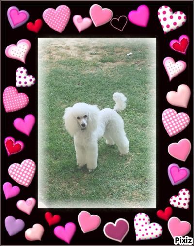 Raison d' être dite raquel du bois de Morchène