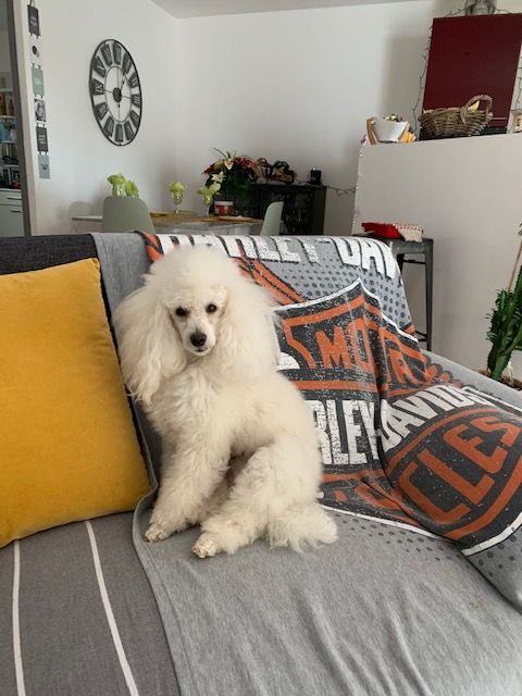 Raison d' être dite raquel du bois de Morchène