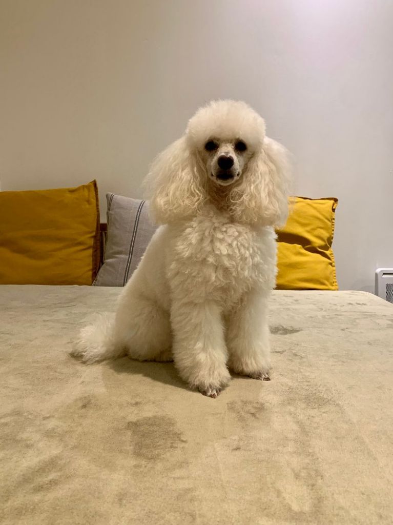 Raison d' être dite raquel du bois de Morchène