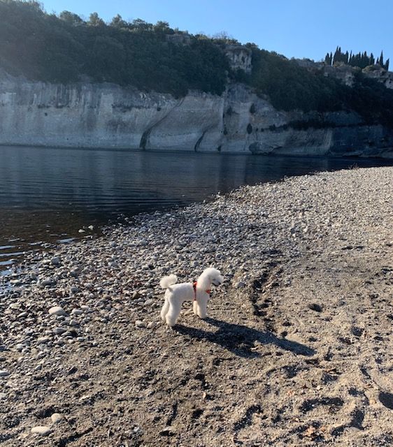 Raison d' être dite raquel du bois de Morchène