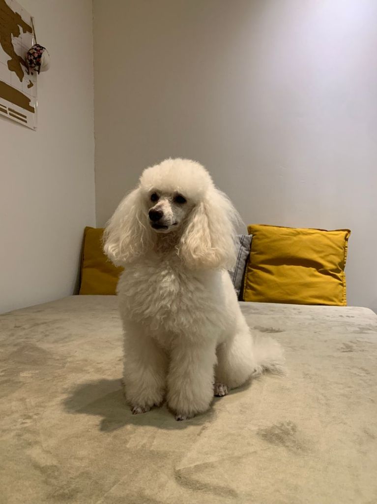 Raison d' être dite raquel du bois de Morchène