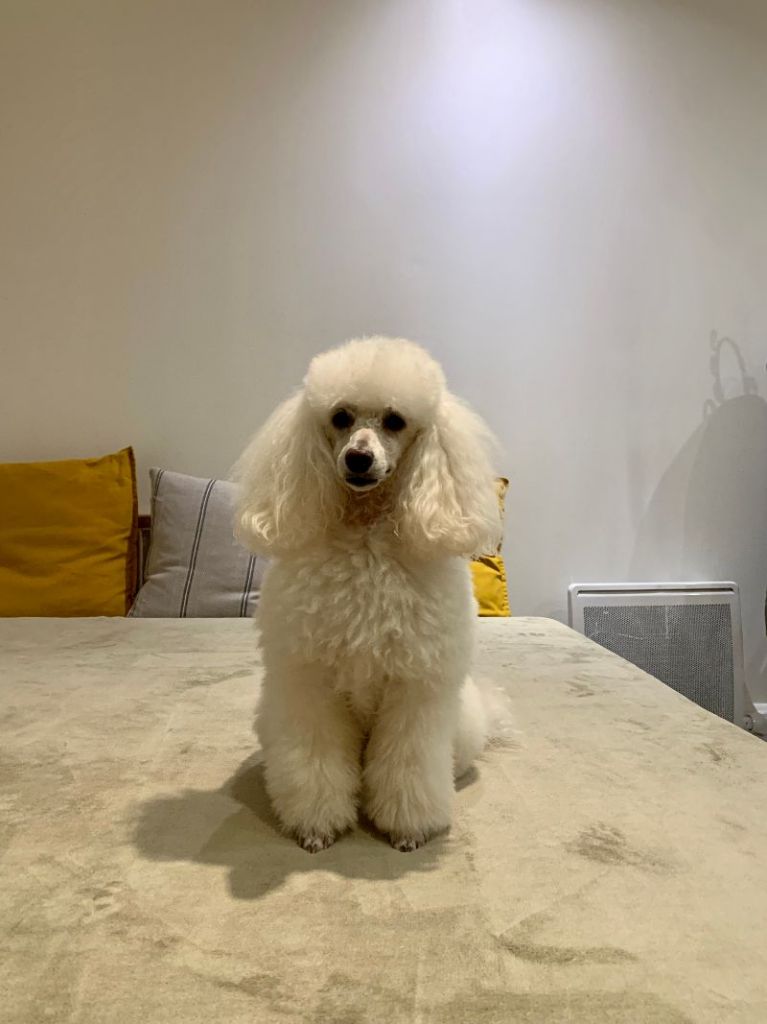 Raison d' être dite raquel du bois de Morchène