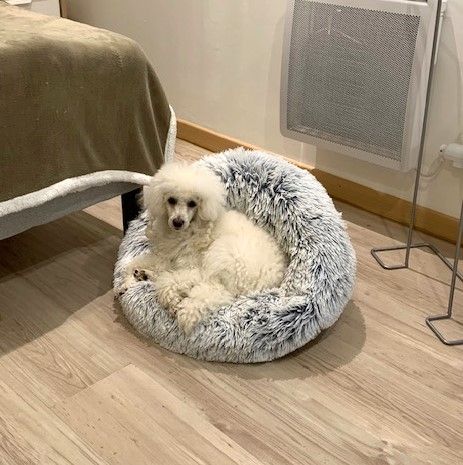 Raison d' être dite raquel du bois de Morchène