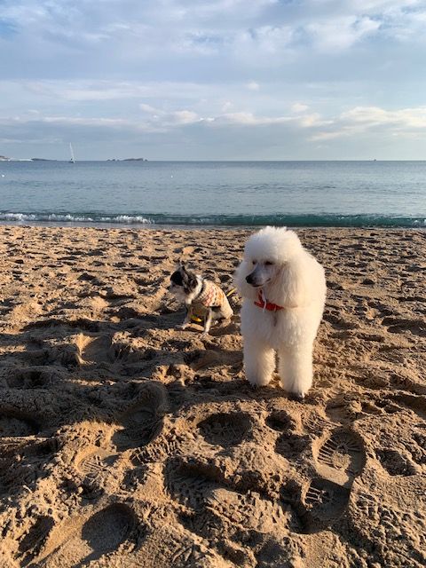 Raison d' être dite raquel du bois de Morchène